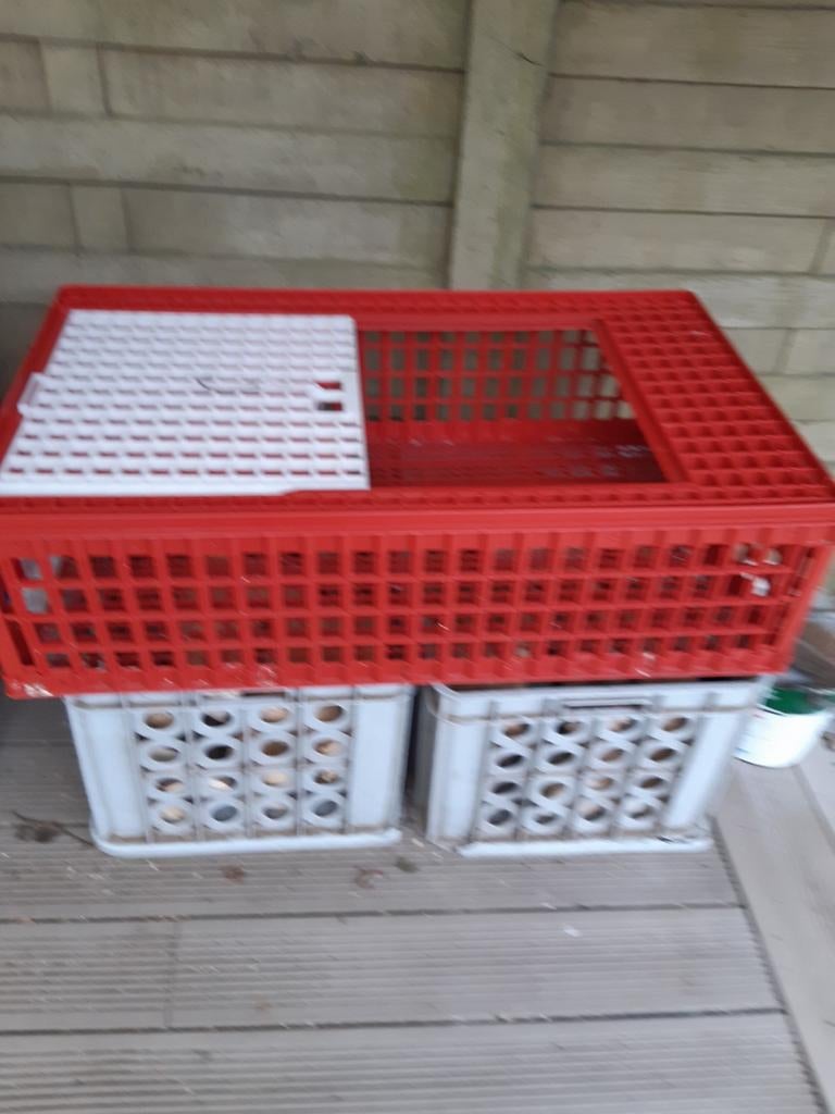 Transportkist voor pluimvee 95L 55B 28H., Dieren en Toebehoren, Ophalen, Gebruikt, Kunststof, Overige typen