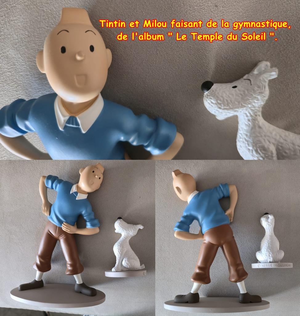 2001-TINTIN & MILOU -TEMPLE SOLEIL -COLLECTION GENERIQUE, Envoi, Neuf
