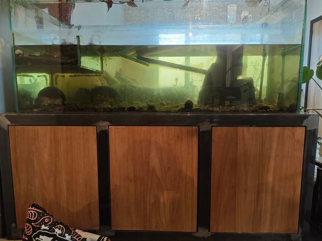 Grote aquarium 500l, Enlèvement, Comme neuf