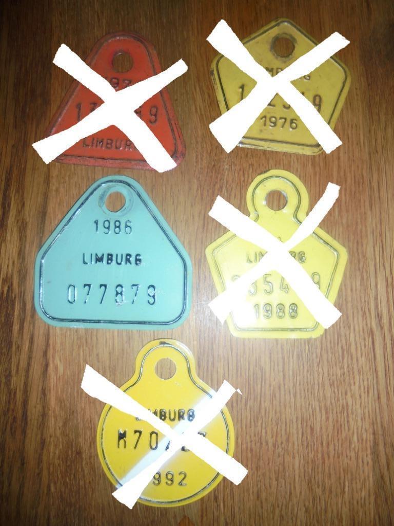 plaques de vélo limburg en étain, Antiquités & Art, Curiosités & Brocante, Enlèvement ou Envoi