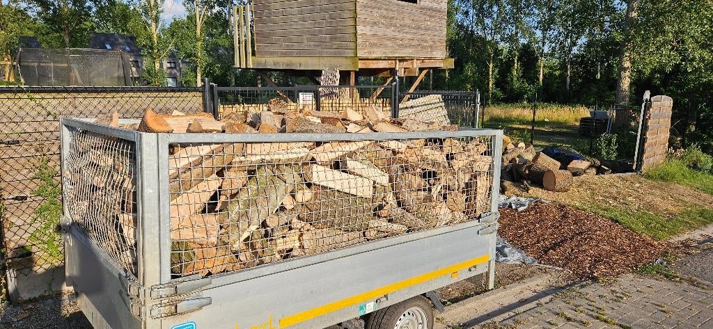 Brandhout, Tuin en Terras, Brandhout, 6 m³ of meer, Ophalen of Verzenden, Eikenhout, Blokken