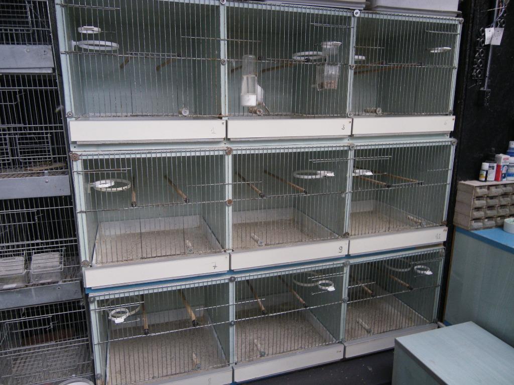 Kweekkooien nodig ?, Enlèvement, Utilisé, Bois, Cage d'élevage