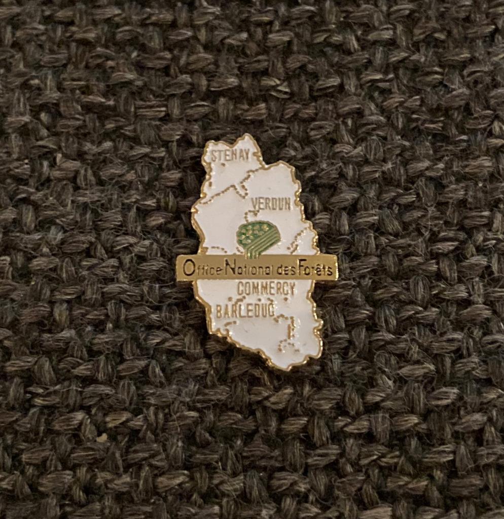 PIN - OFFICE NATIONAL DES FORÊTS - FRANCE - FRANKRIJK, Envoi, Utilisé, Autres sujets/thèmes, Insigne ou Pin's