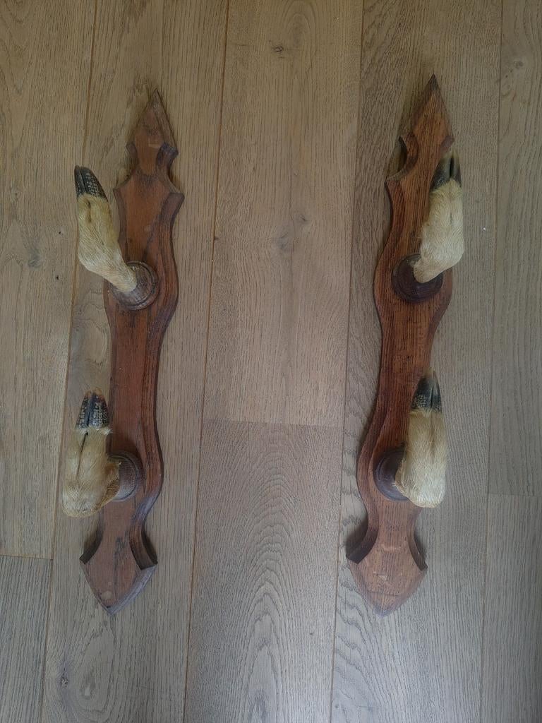 Porte carabine pattes de chevreuil, Collections, Enlèvement