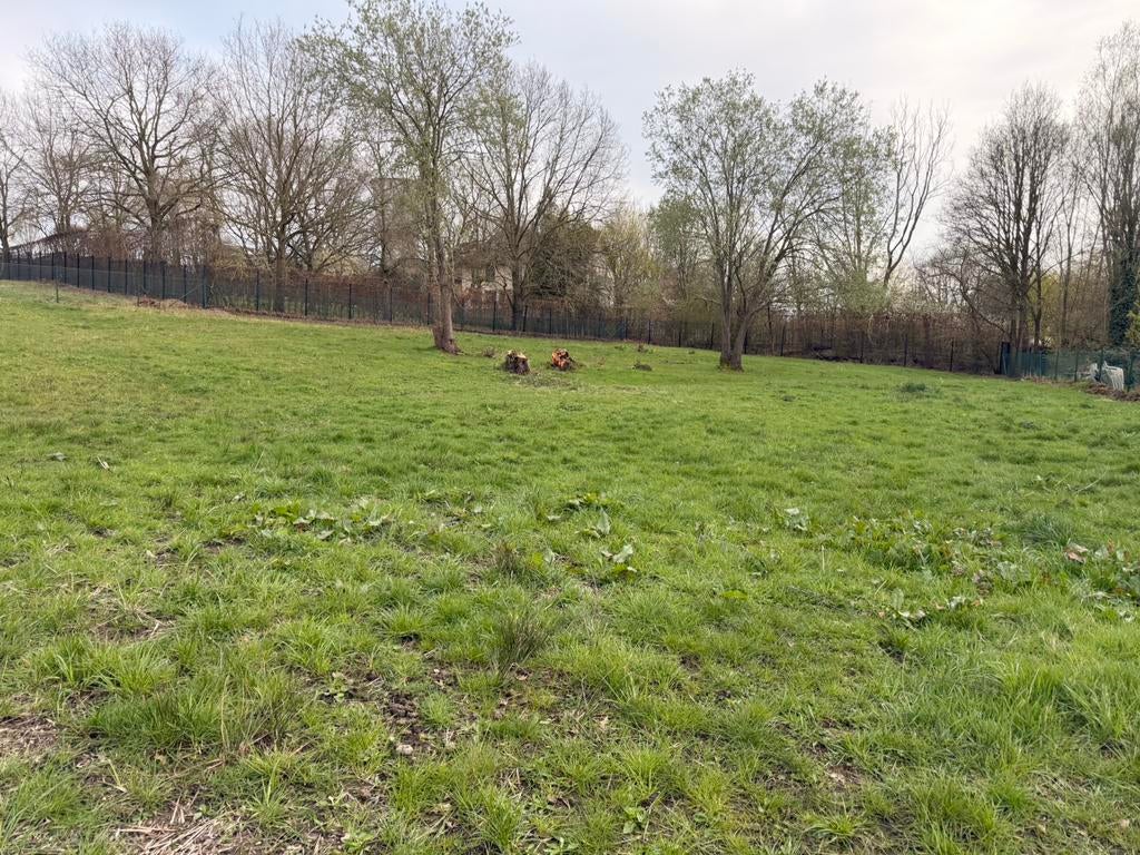 Weidemaatje gezocht voor lieve 25-jarige D-pony, Pâturage, 2 ou 3 chevaux ou poneys