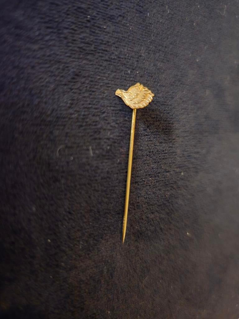 Chasseurs ardennais épingle hure sanglier belge Belgique, Collections, Enlèvement ou Envoi