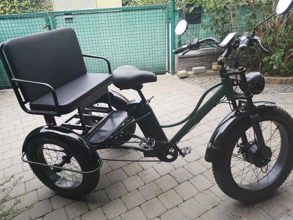 Elektrische driewieler, Diversen, Ophalen, Zo goed als nieuw