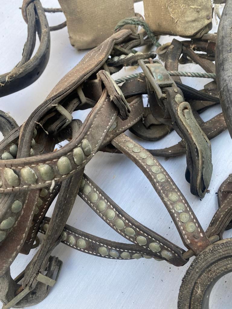 harnais de cheval décoratif avec cuivres, Enlèvement