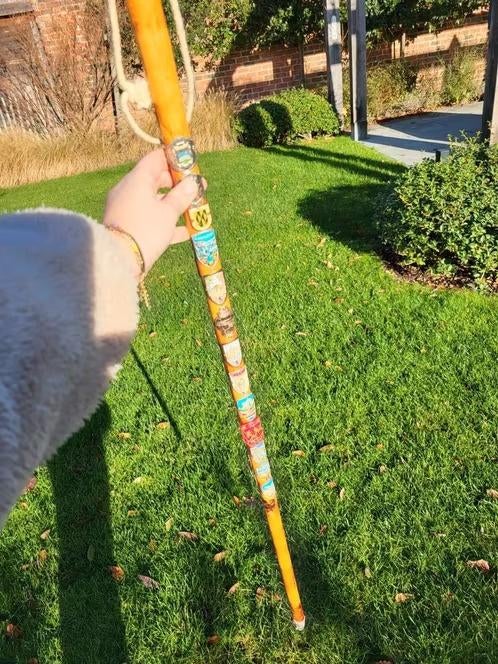 bâton de marche qui a déjà visité de nombreux endroits !, Divers, Bâtons de marche, Enlèvement