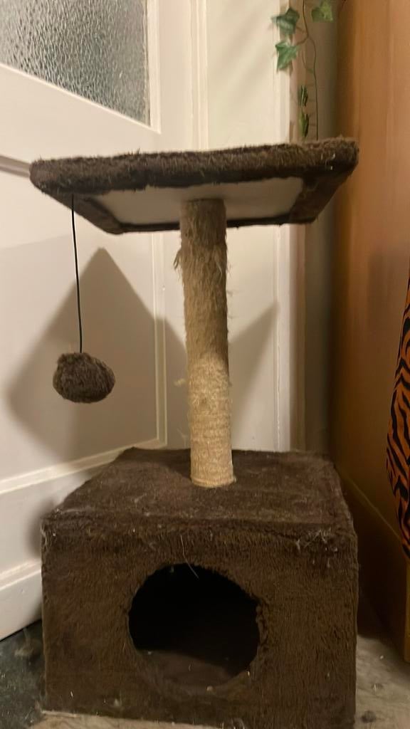 Kattenpaal, Ophalen, Zo goed als nieuw