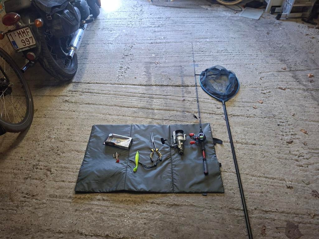 Visgerief voor te roofvissen en een zeemolen, Ophalen