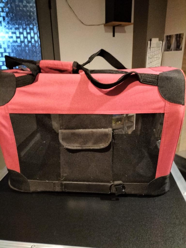 honden reis mand, Dieren en Toebehoren, Ophalen