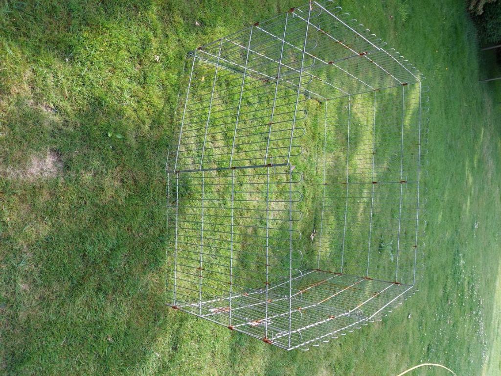 BUITENREN voor konijnen, Dieren en Toebehoren, Ophalen, Gebruikt, Overige typen