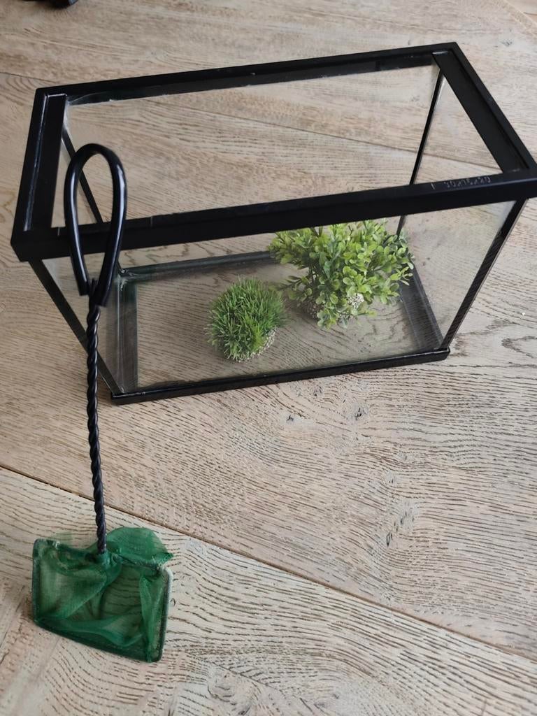 Visbak (aquarium) 30x20x15, Dieren en Toebehoren, Vissen | Aquaria en Toebehoren, Ophalen, Zo goed als nieuw