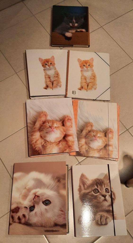 schoolmateriaal kaften poezen, Diversen, Schoolbenodigdheden, Ophalen of Verzenden, Nieuw