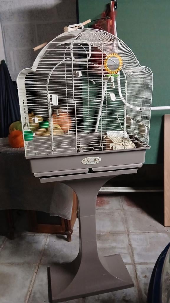Cage à  oiseaux  sur pied, Animaux & Accessoires, Enlèvement
