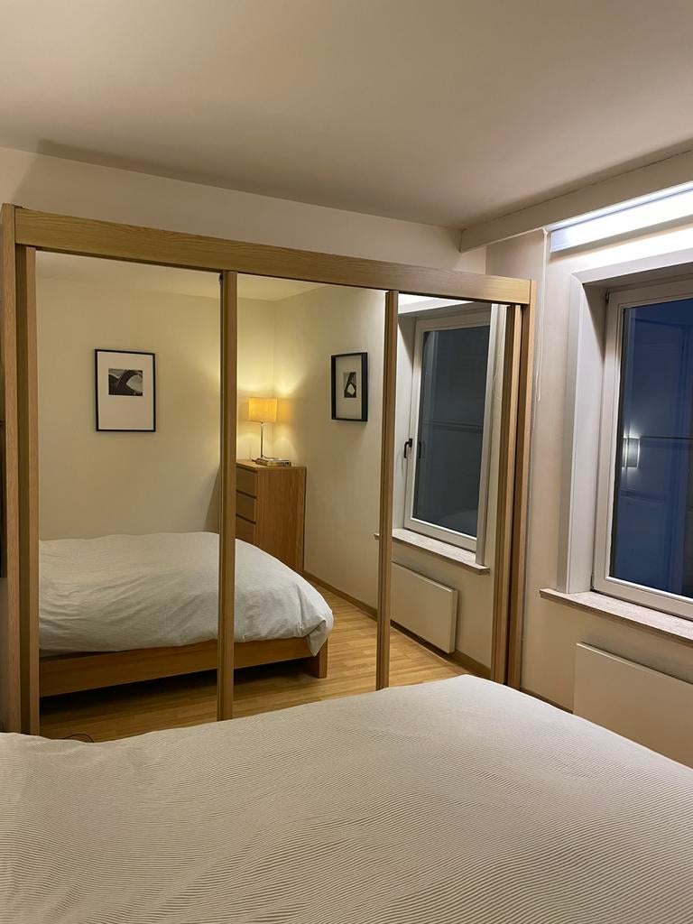 Spiegel kleerkast, Huis en Inrichting, Ophalen, Overige materialen, Gebruikt, 200 cm of meer