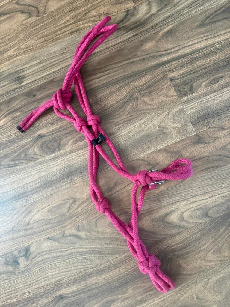 Halster met teugels, Dieren en Toebehoren, Ophalen of Verzenden, Zo goed als nieuw