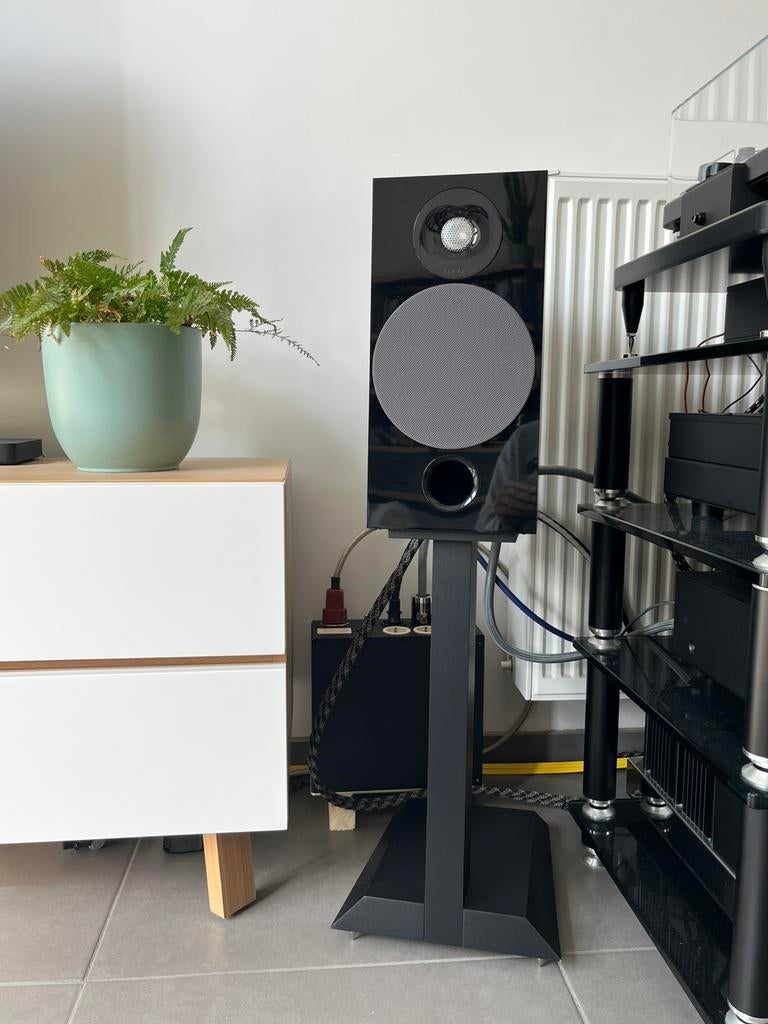 Focal Chora 806 met stands, Ophalen, Zo goed als nieuw, 60 tot 120 watt, Overige merken