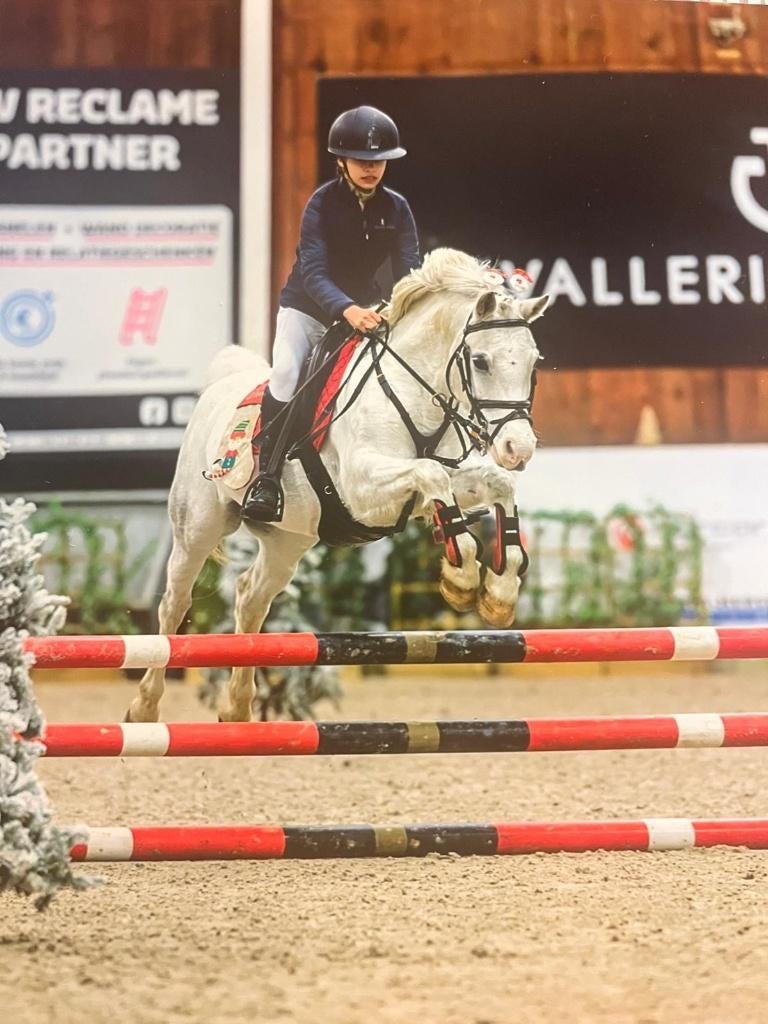 C pony te koop, Dieren en Toebehoren, Niet van toepassing, Springpony, C pony (1.27m tot 1.37m), 7 tot 10 jaar