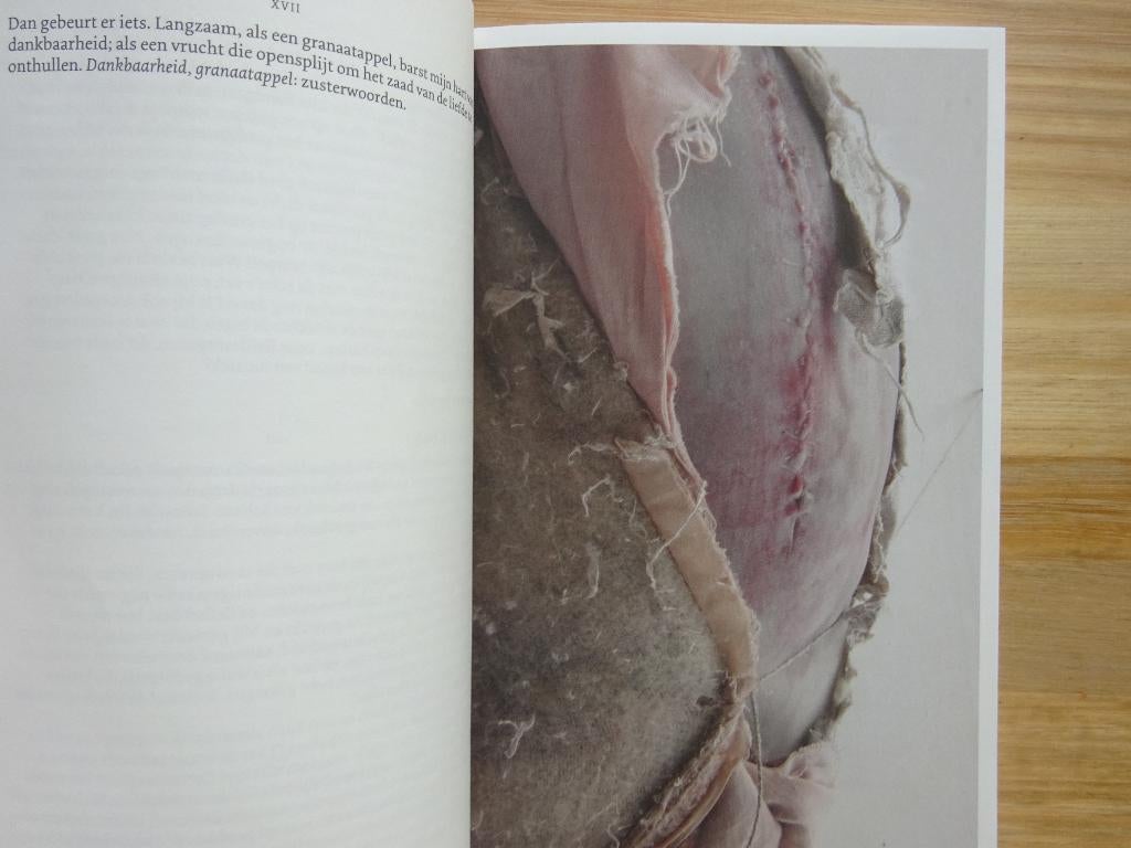 Berlinde De Bruyckere, Allen Vlees, 2012 DWB, Ophalen of Verzenden, Gelezen, Beeldhouwkunst