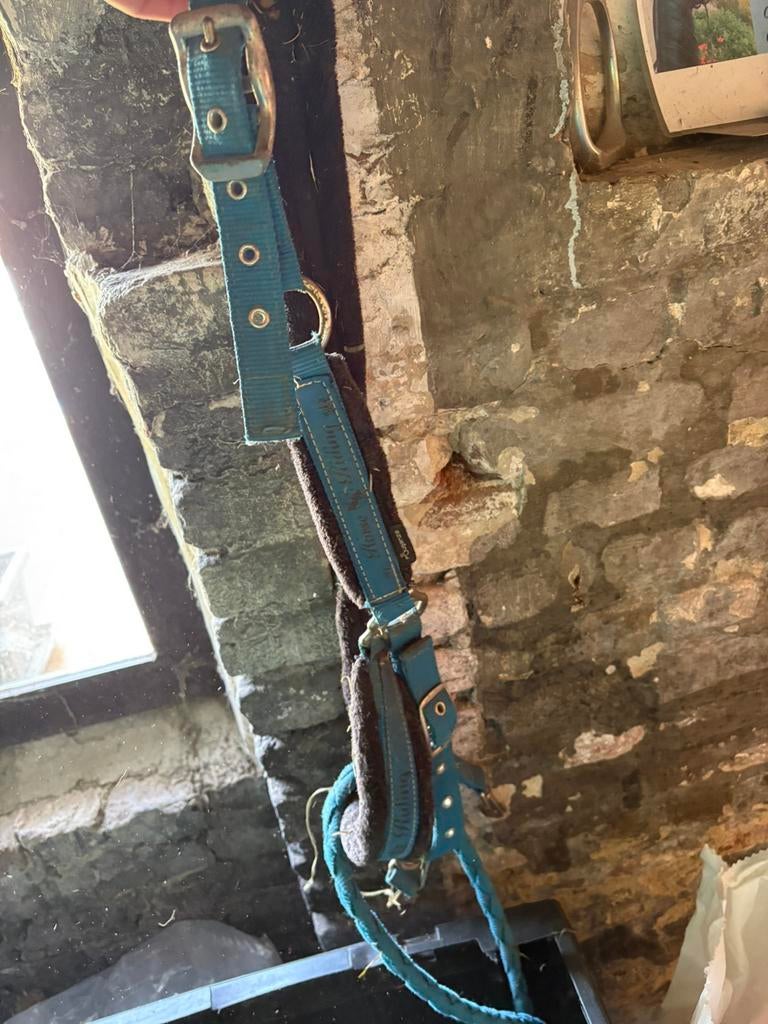 Accessoire équitation, Animaux & Accessoires, Enlèvement, Comme neuf