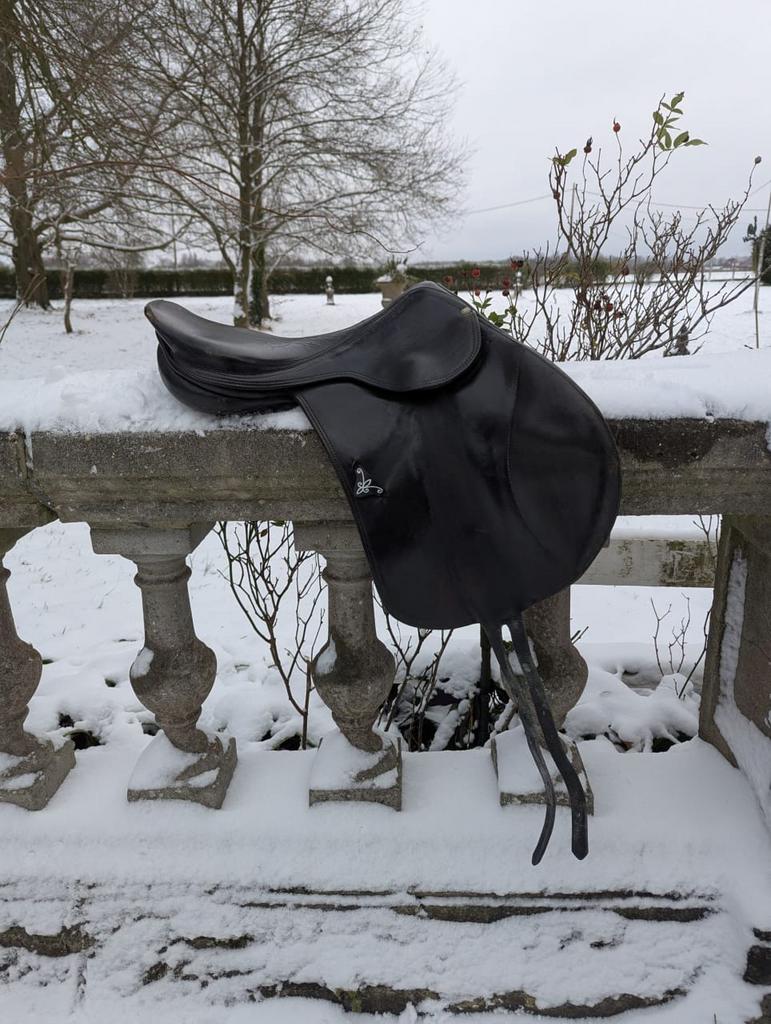 Zwart springzadel, Dieren en Toebehoren, Ophalen, Zo goed als nieuw