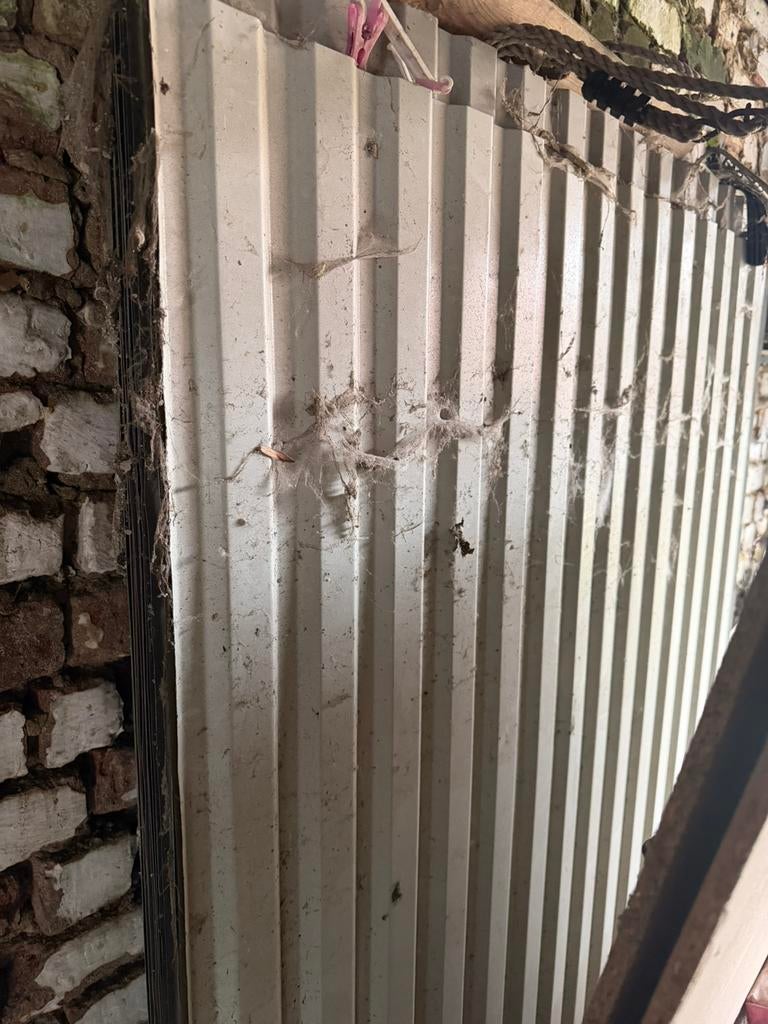 Tôles de toiture en fer, Enlèvement, Comme neuf, Fer