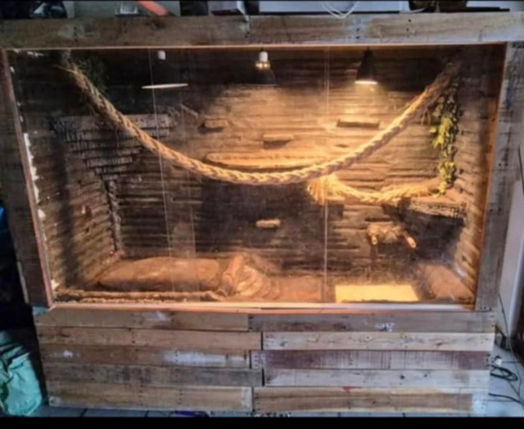 Groot terrarium!, Dieren en Toebehoren, Reptielen en Amfibieën | Toebehoren, Ophalen, Zo goed als nieuw