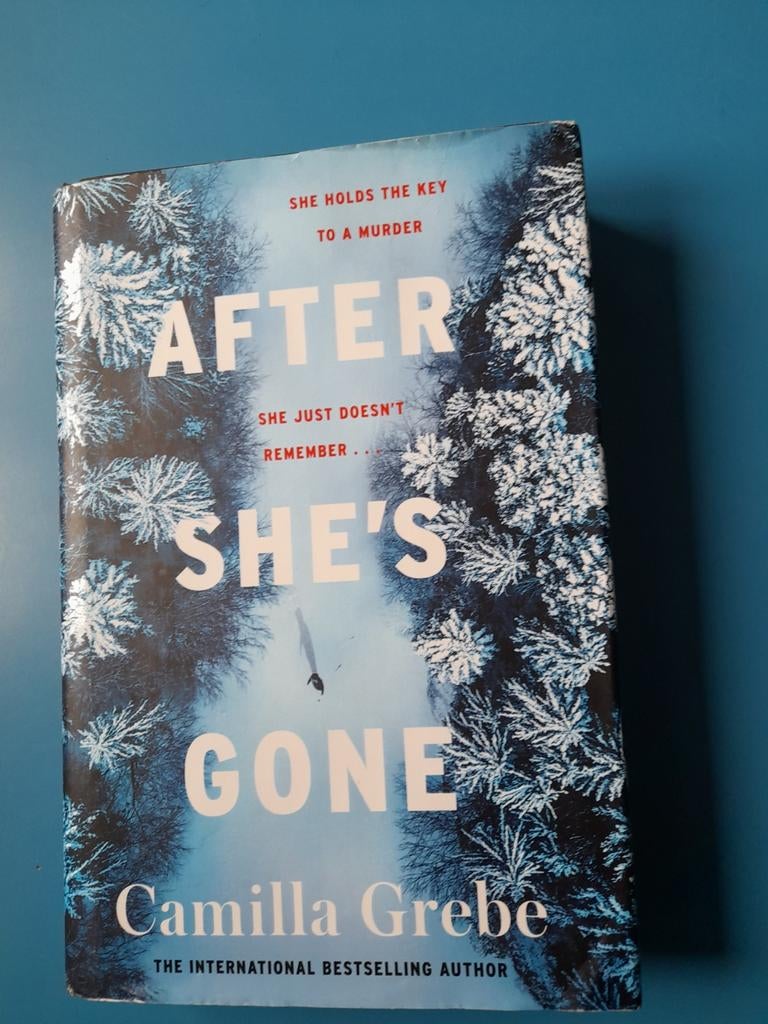 Camilla Grebe - After She's Gone, Boeken, Romans, Ophalen, Camilla Grebe