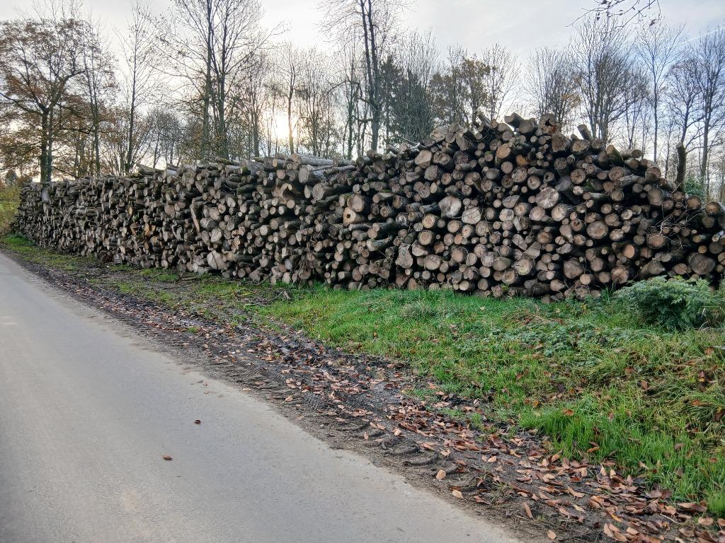 BOIS DE CHAUFFAGE SEC DE QUALITES TOUTE L'ANNEE!!!, Enlèvement ou Envoi, Utilisé, Autres types, Bois dur