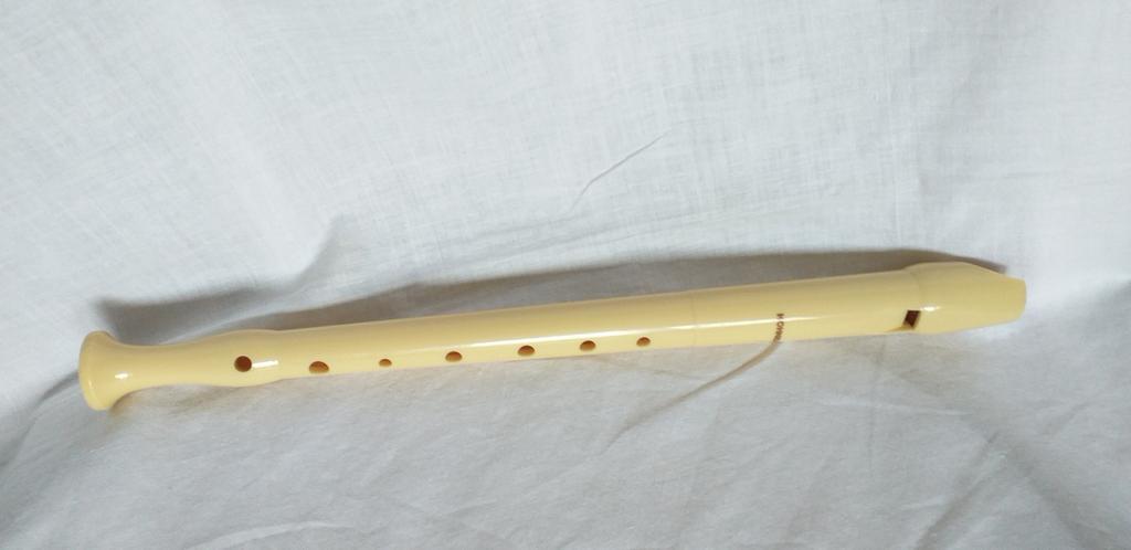 Hohner-recorder, Muziek en Instrumenten, Blaasinstrumenten | Blokfluiten, Ophalen of Verzenden, Gebruikt