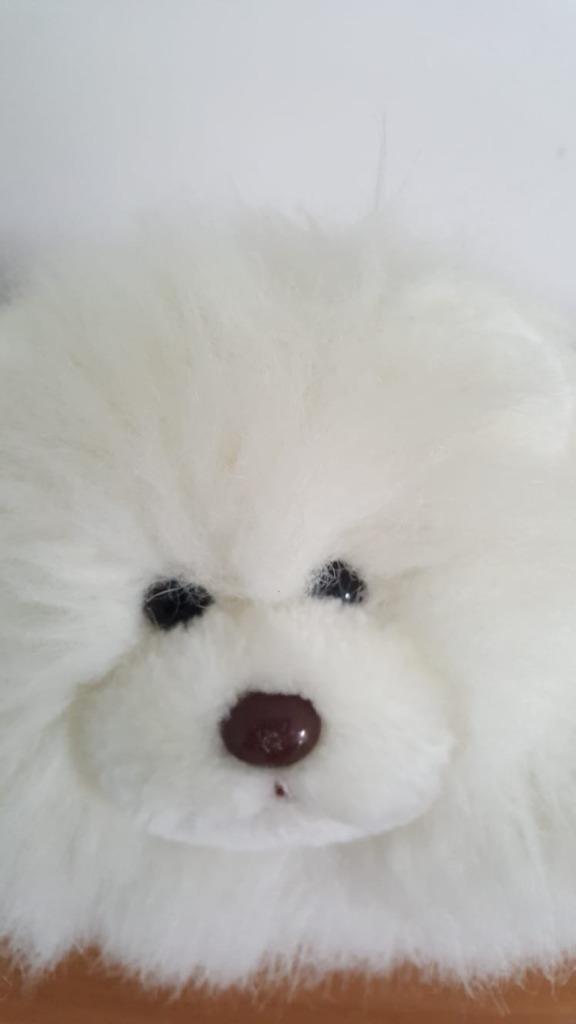 Peluche Mignon Petit Chien Blanc, Enlèvement ou Envoi, Comme neuf, Chien