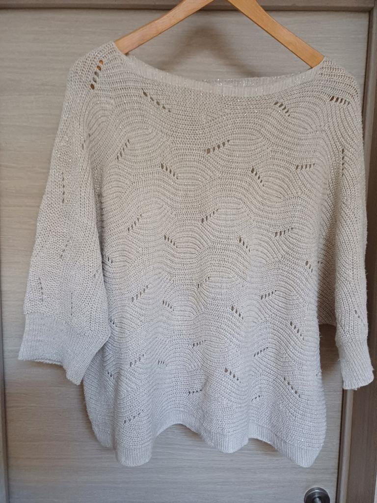 Paprika trui ecru met zilverkl glinster L/XL (46 tem mt52), Kleding | Dames, Grote Maten, Paprika, Ophalen of Verzenden, Gedragen