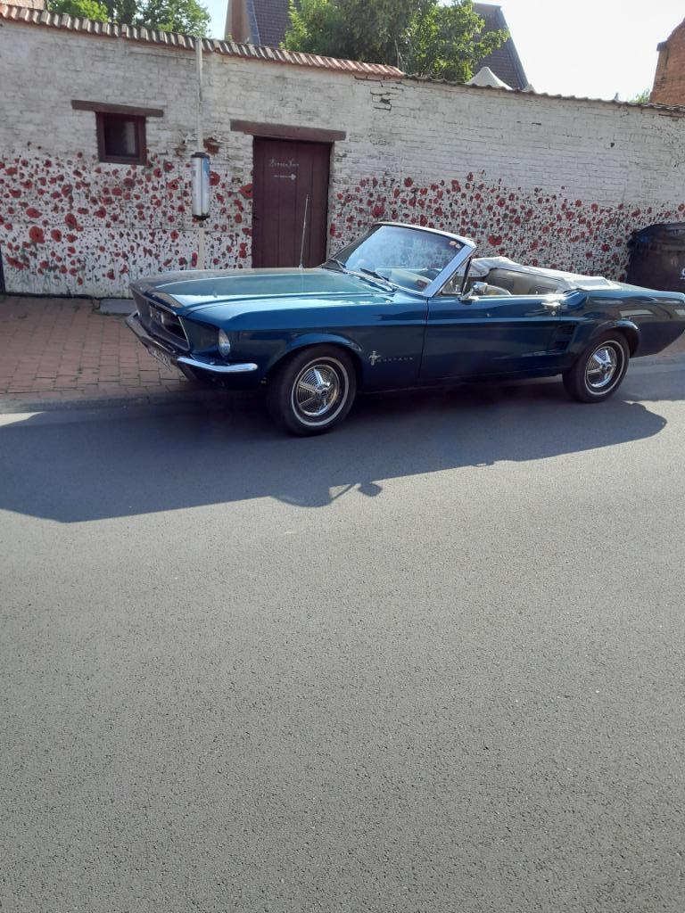 mustang, 4 zetels, Achterwielaandrijving, Cabriolet, Bruin