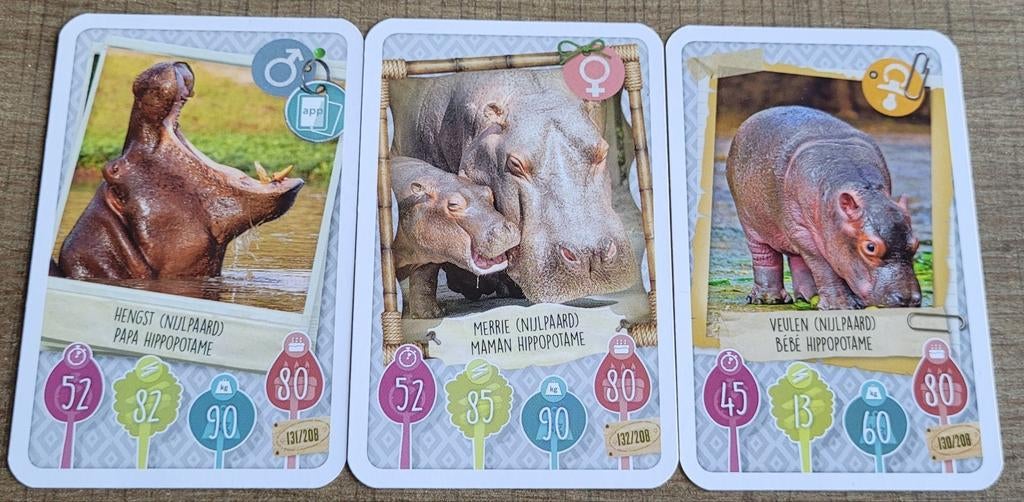 3 fotokaarten: nijlpaarden, Verzamelen, 1980 tot heden, Ophalen of Verzenden, Zo goed als nieuw, Dier