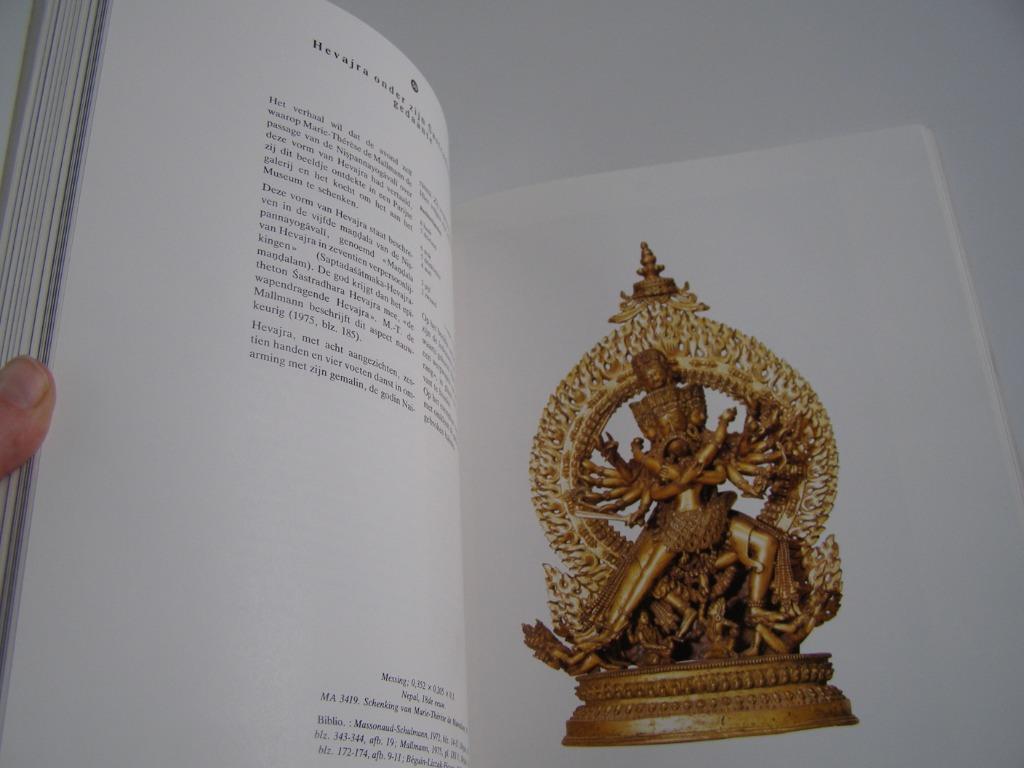 Tibet, terreur en magie : Gilles Beguin, Livres, Politique & Société, Comme neuf, Société, Enlèvement ou Envoi