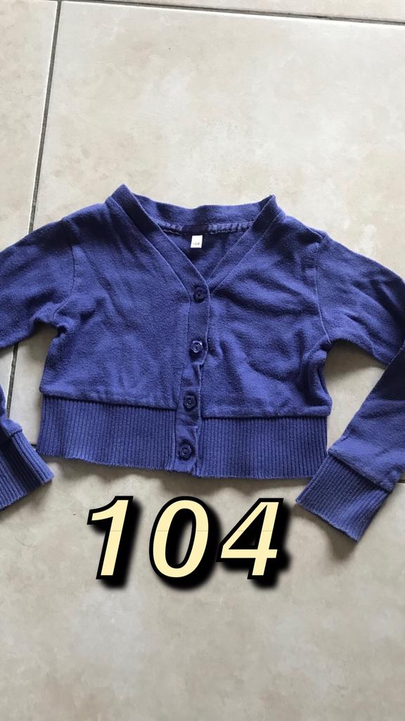Gilet bolero truitje maat 104, Kinderen en Baby's, Kinderkleding | Maat 104, Ophalen, Meisje, Trui of Vest, Zo goed als nieuw
