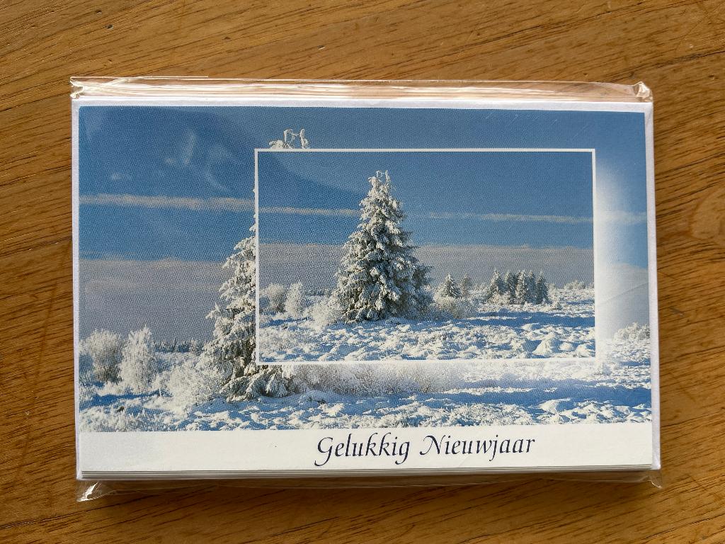 10 wenskaarten Gelukkig Nieuwjaar, Ophalen of Verzenden, Nieuw