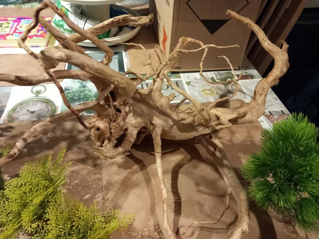 Aquarium decoratie NIEUW, Ophalen