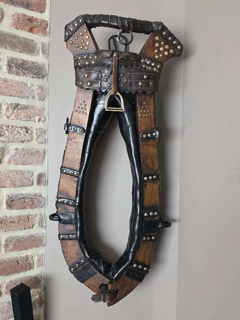 Collier cheval, Enlèvement, Moins de 50 cm, Moins de 100 cm