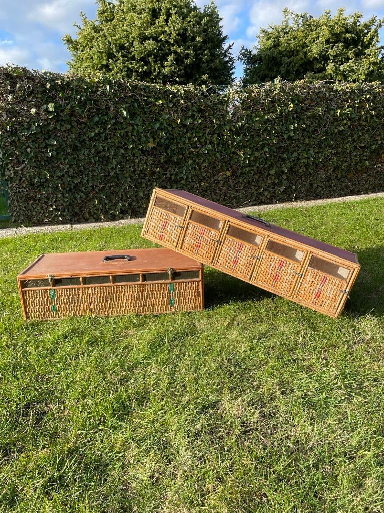 Duivenkorf voor 6 duiven en duivenkorf voor 5 duiven