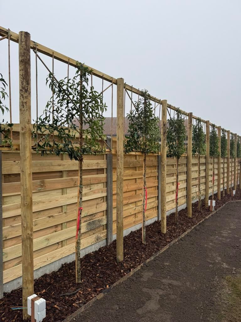 Overkappingen en hout-beton schutting plaatsen, Tuin en Terras, Schuttingen, Ophalen, Nieuw, Hout