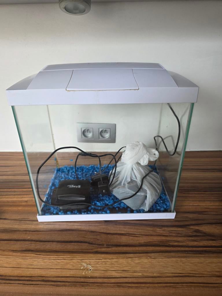 Aquarium te koop met steentjes, Dieren en Toebehoren, Ophalen, Gebruikt, Grind, Zand of Voedingsbodem