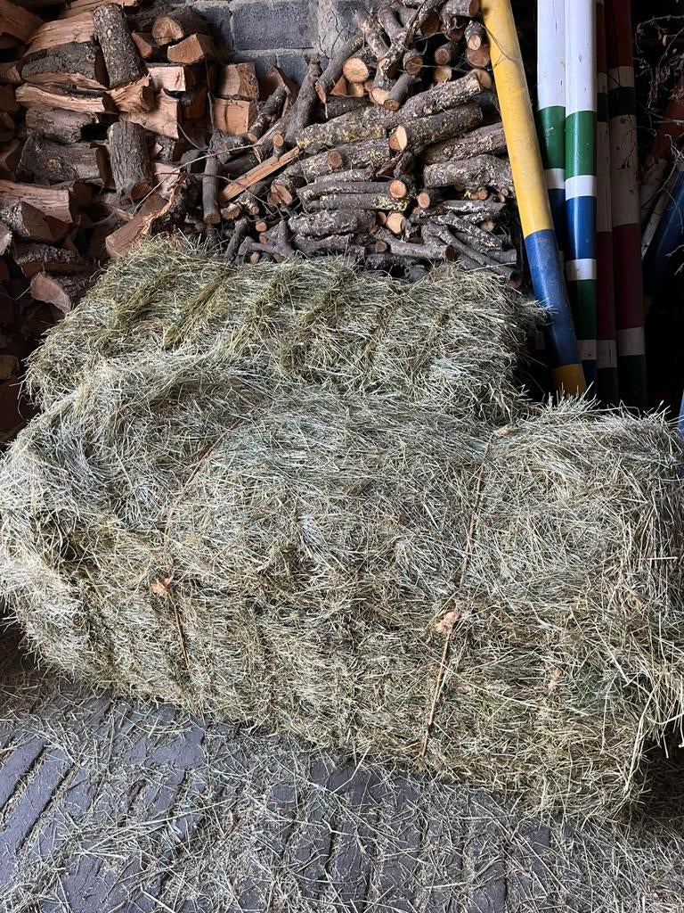 Zeer mooi fijn groen hooi, Dieren en Toebehoren, Ophalen