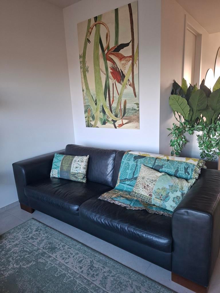 Grote zwart lederen bank, Ophalen