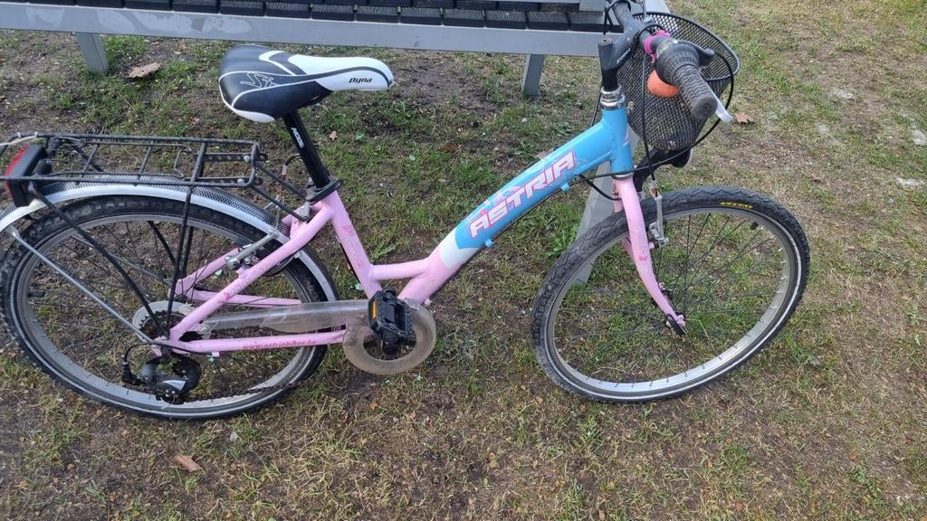 Meisjesfiets 24 inch, Ophalen, 24 inch