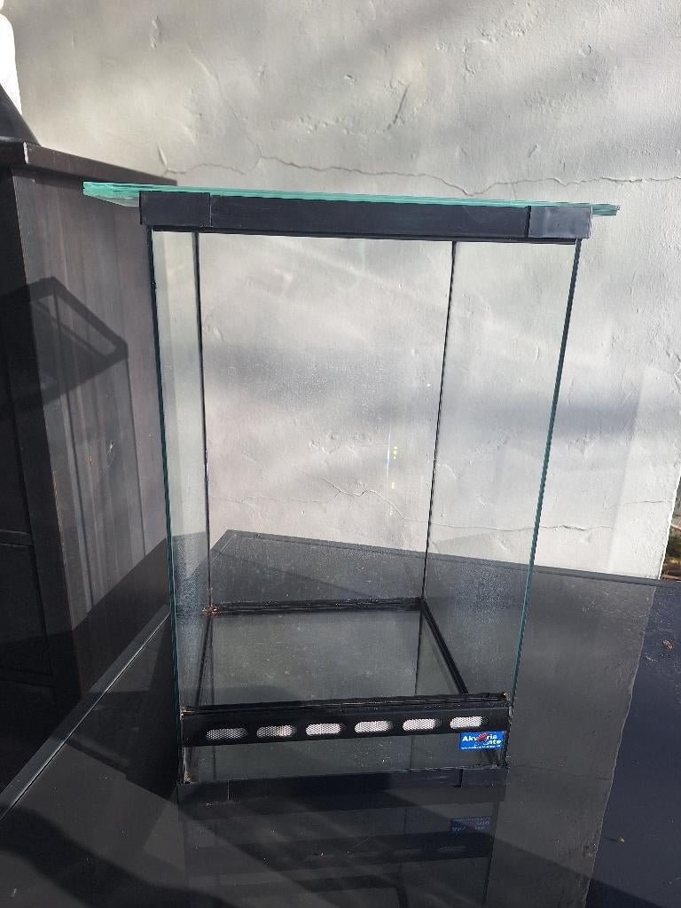 Terrarium, Ophalen, Gebruikt, Terrarium of Paludarium