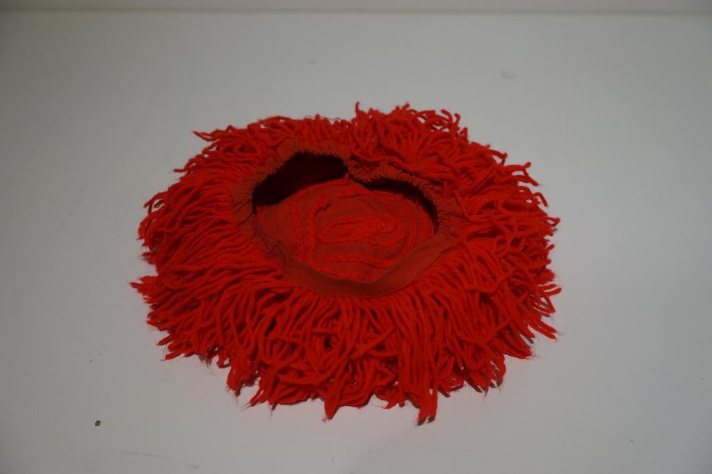 Carnavals kleding pruik, Ophalen of Verzenden, Accessoires, Gedragen, ANDERE