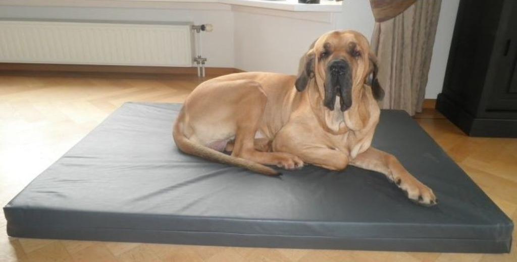 Honden Mand Hondenkussen Hondenbed HD - Diverse Maten!, Dieren en Toebehoren, Honden-accessoires, Ophalen of Verzenden, Nieuw